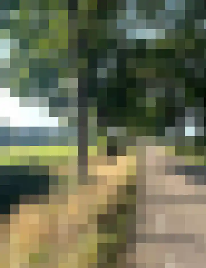 Rijksweg Zuid 78 Echt thumbnail 124