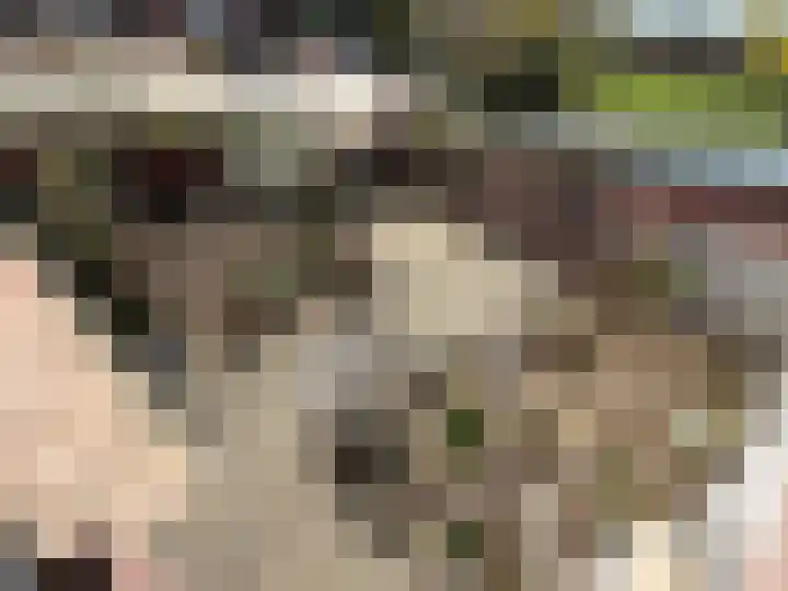 Rijksweg Zuid 78 Echt thumbnail 126
