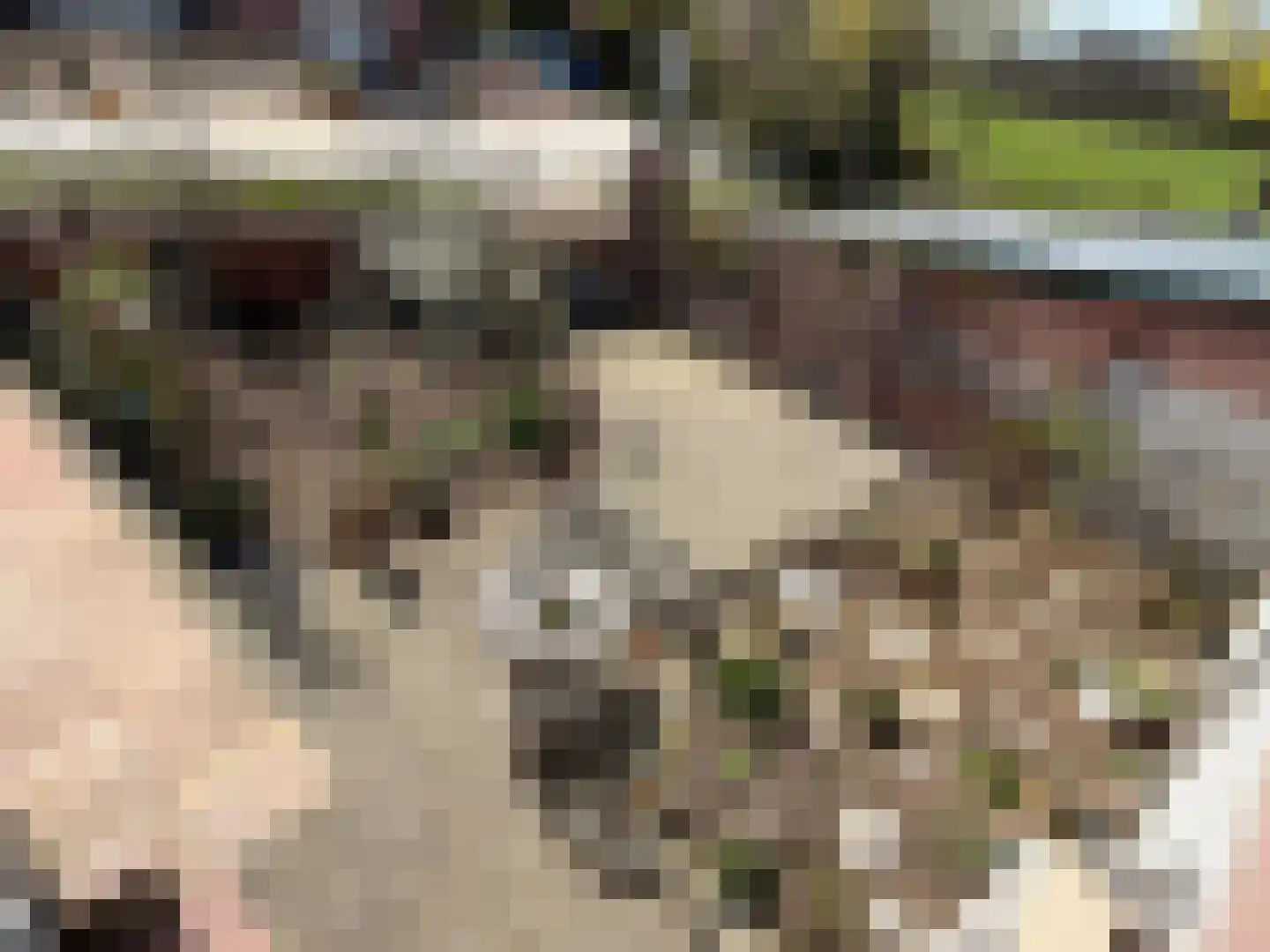 Rijksweg Zuid 78 Echt thumbnail 126