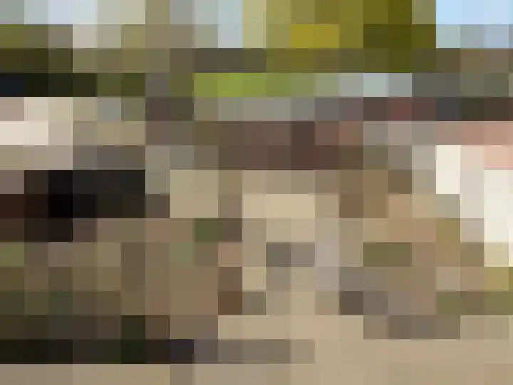Rijksweg Zuid 78 Echt thumbnail 127