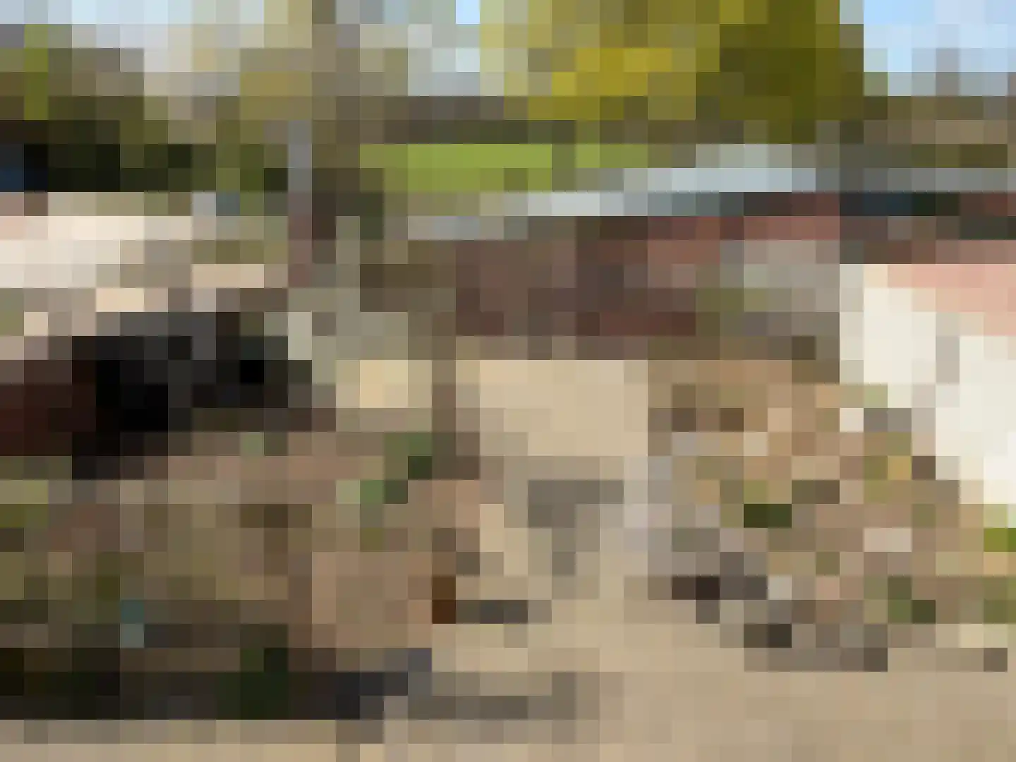 Rijksweg Zuid 78 Echt thumbnail 127