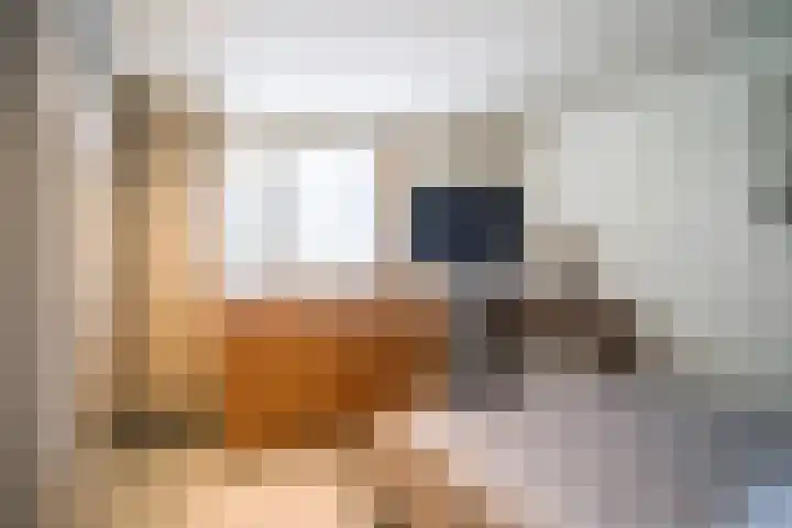 Rijksweg Zuid 78 Echt thumbnail 39