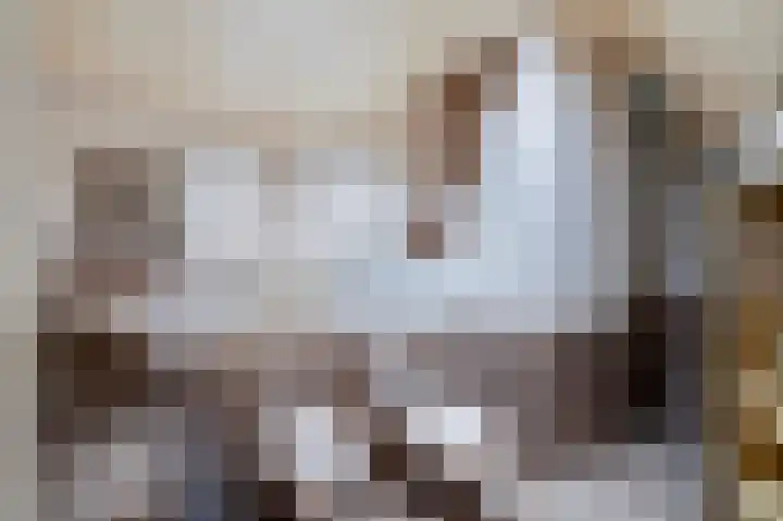 Rijksweg Zuid 78 Echt thumbnail 4