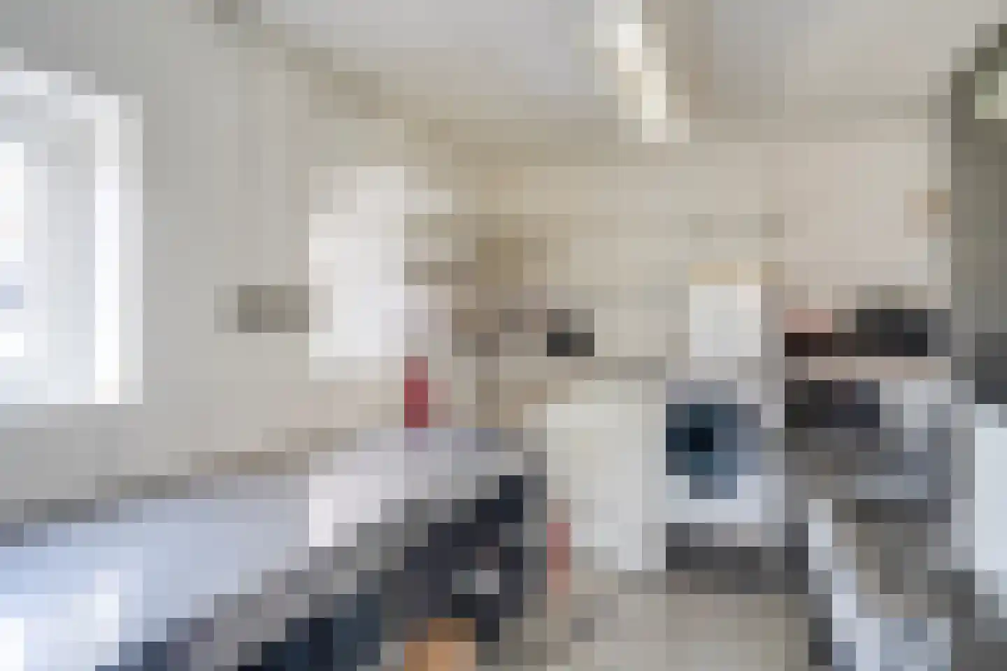 Rijksweg Zuid 78 Echt thumbnail 93
