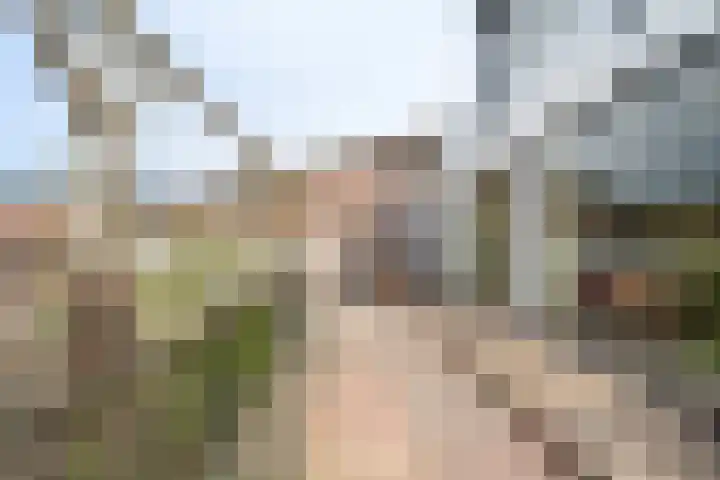 Rijksweg Zuid 78 Echt thumbnail 96