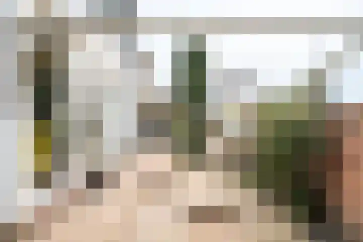 Rijksweg Zuid 78 Echt thumbnail 98