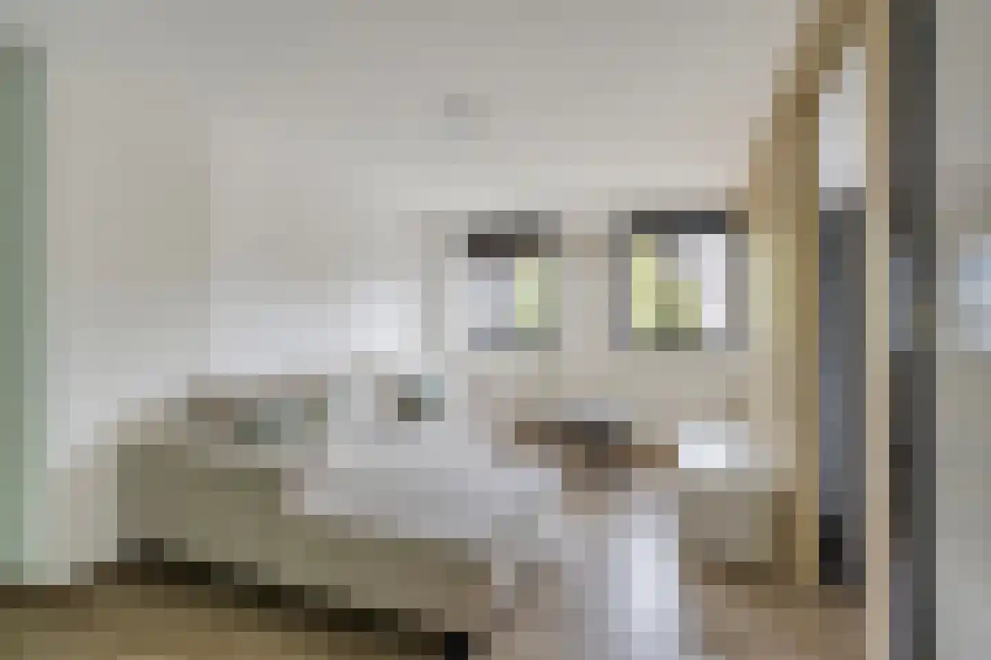 Rijksweg Zuid 83 Sittard thumbnail 4