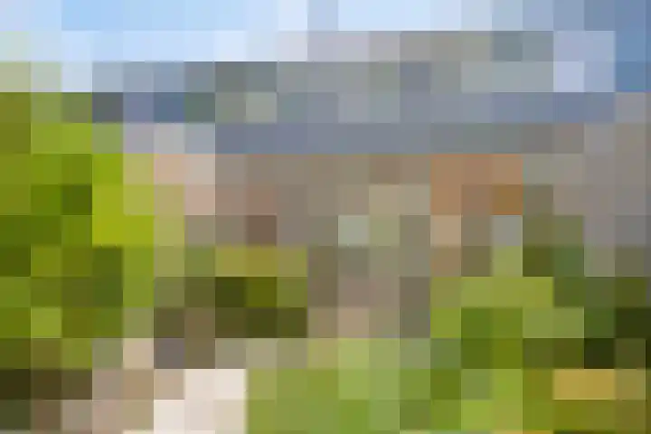Rijn 31 Heerhugowaard thumbnail 31