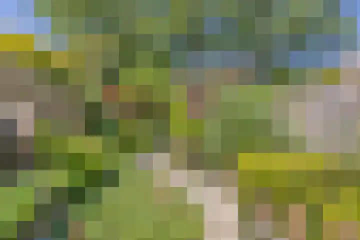 Rijn 31 Heerhugowaard thumbnail 32