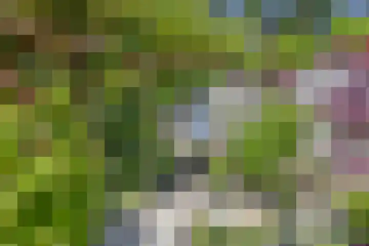 Rijn 31 Heerhugowaard thumbnail 33