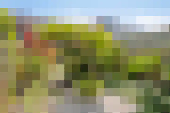 Rijn 31 Heerhugowaard thumbnail 35