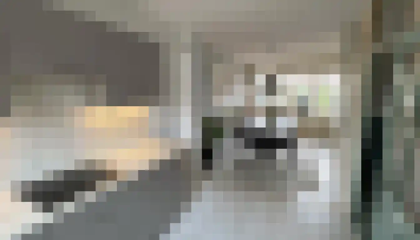 Rijn 34 Heerhugowaard thumbnail 10