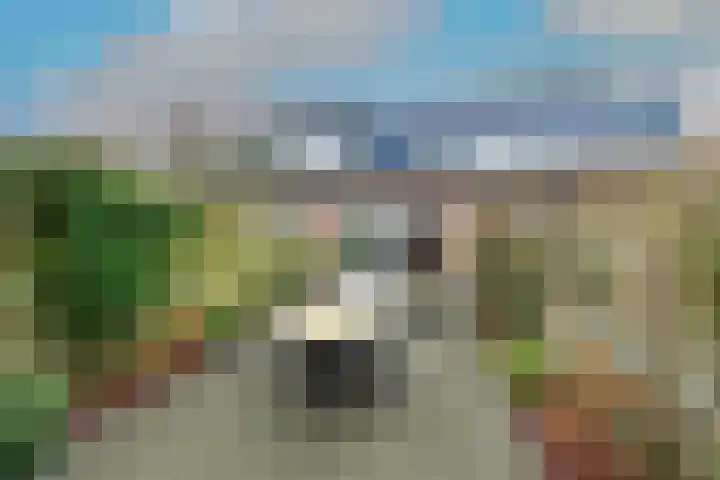 Rijn 58 Heerhugowaard thumbnail 44