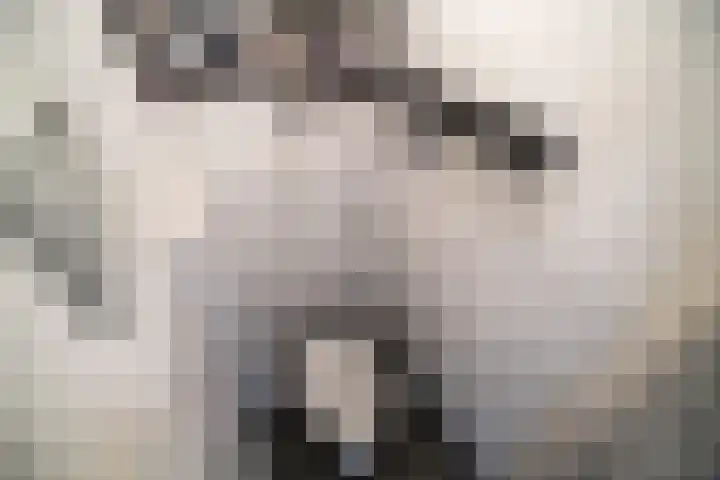 Rijn en Schiekade 10 Leiden thumbnail 17