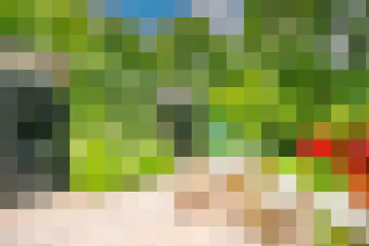 Rijn en Schiekade 10 Leiden thumbnail 23
