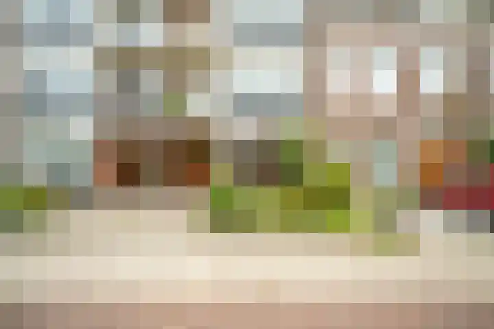 Rijn en Schiekade 10 Leiden thumbnail 31