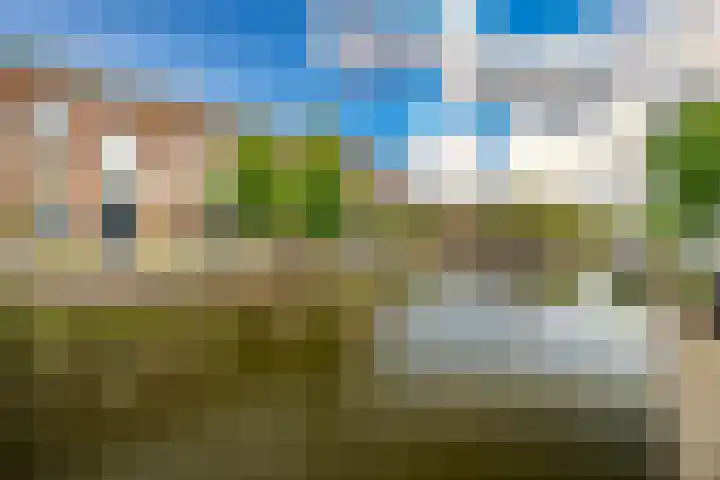 Rijn en Schiekade 10 Leiden thumbnail 32