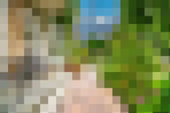 Rijn en Schiekade 10 Leiden thumbnail 4