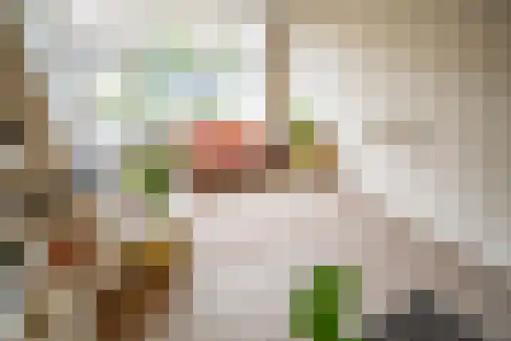 Rijn en Schiekade 10 Leiden thumbnail 6