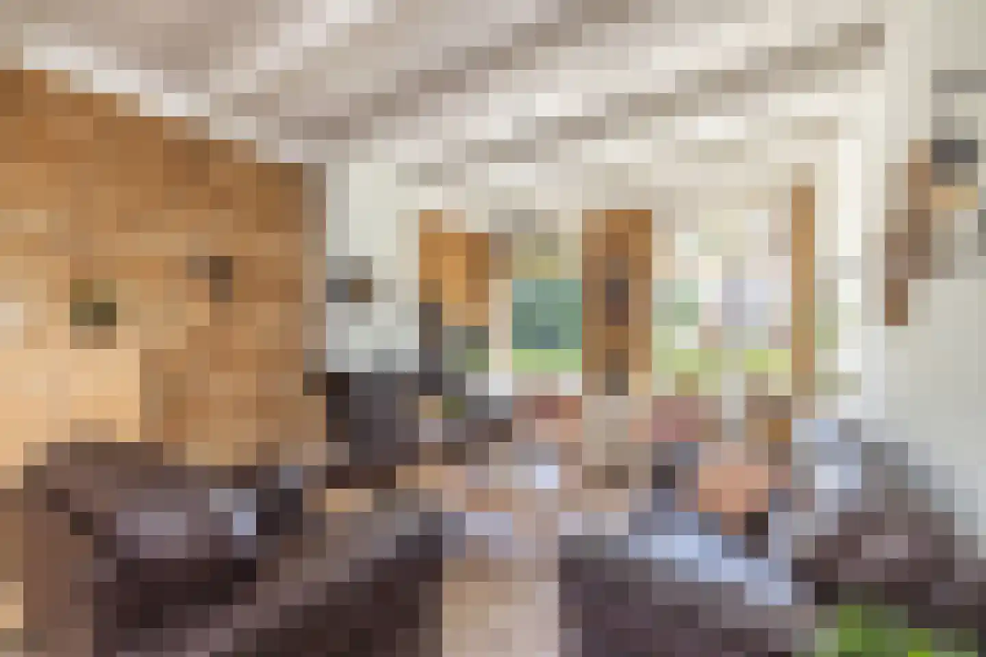 Rijn en Schiekade 117 Leiden thumbnail 11