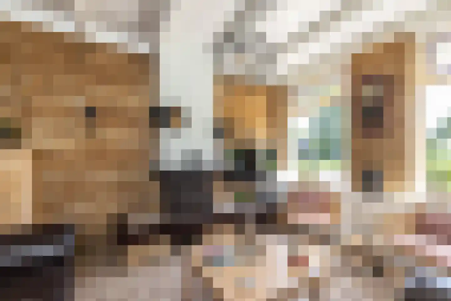 Rijn en Schiekade 117 Leiden thumbnail 12