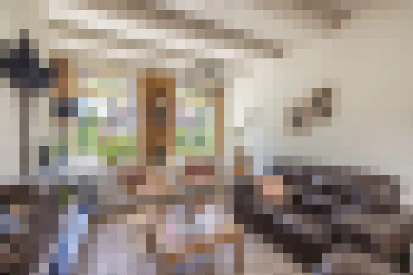 Rijn en Schiekade 117 Leiden thumbnail 13