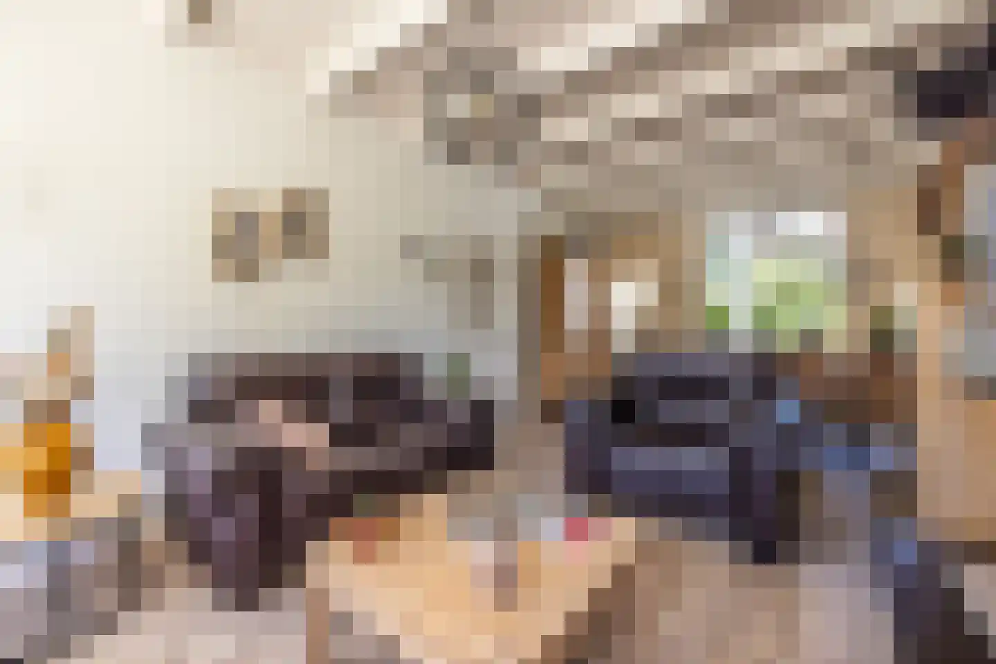 Rijn en Schiekade 117 Leiden thumbnail 15