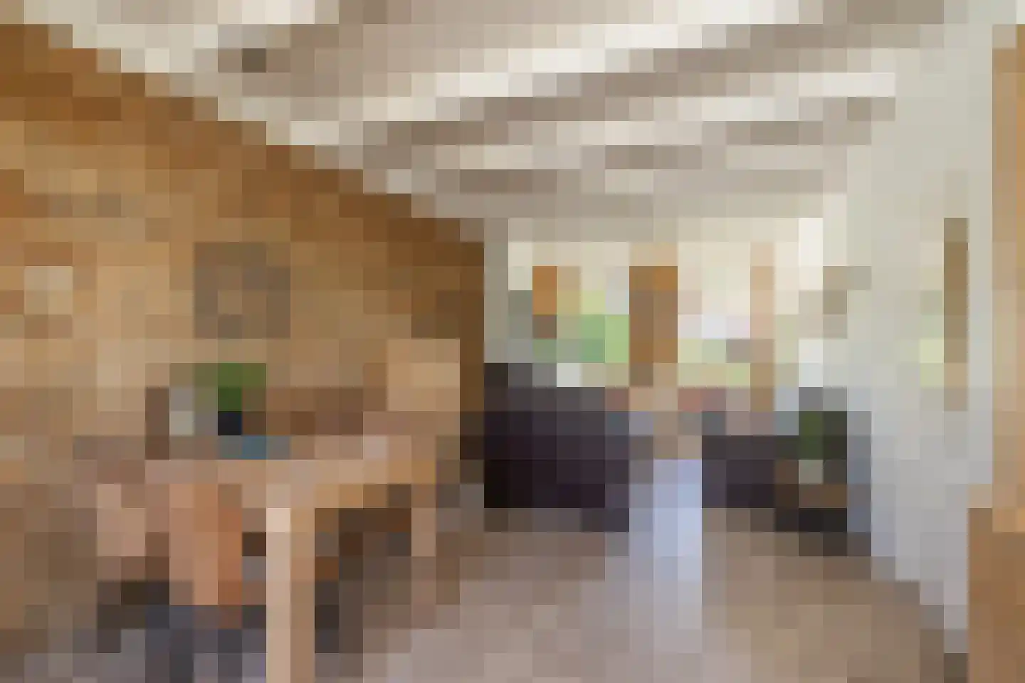 Rijn en Schiekade 117 Leiden thumbnail 17