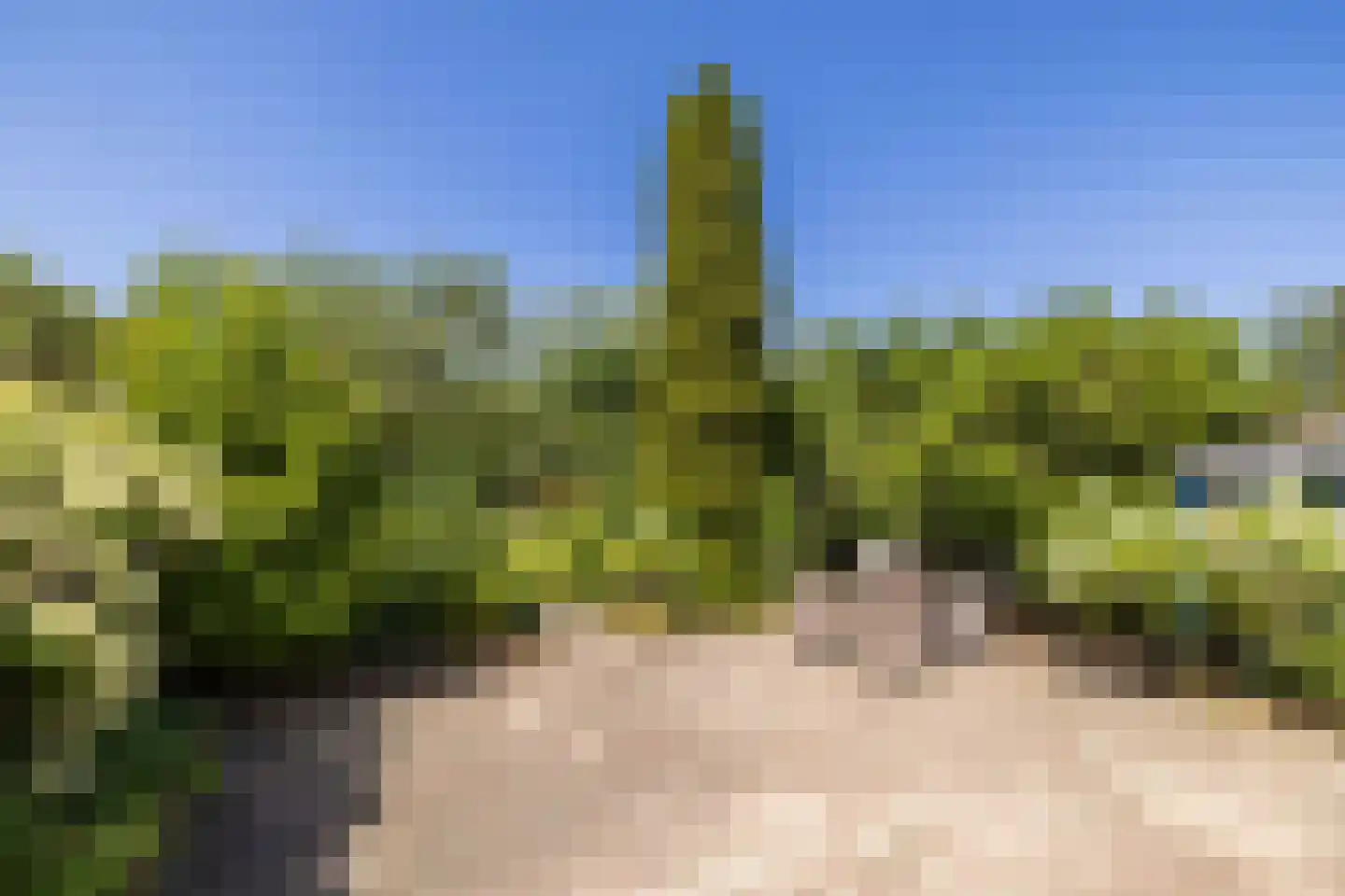 Rijn en Schiekade 117 Leiden thumbnail 22