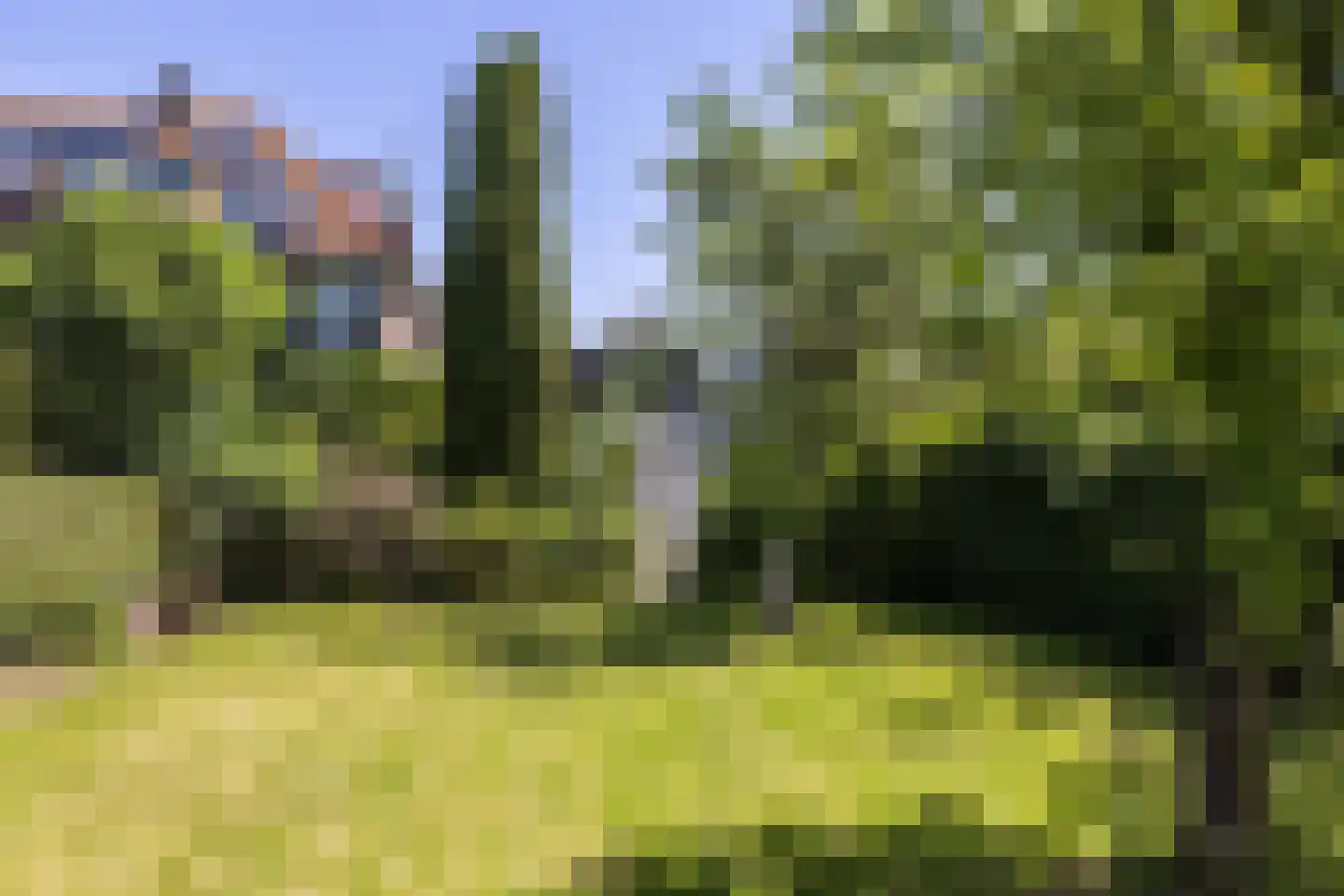 Rijn en Schiekade 117 Leiden thumbnail 29