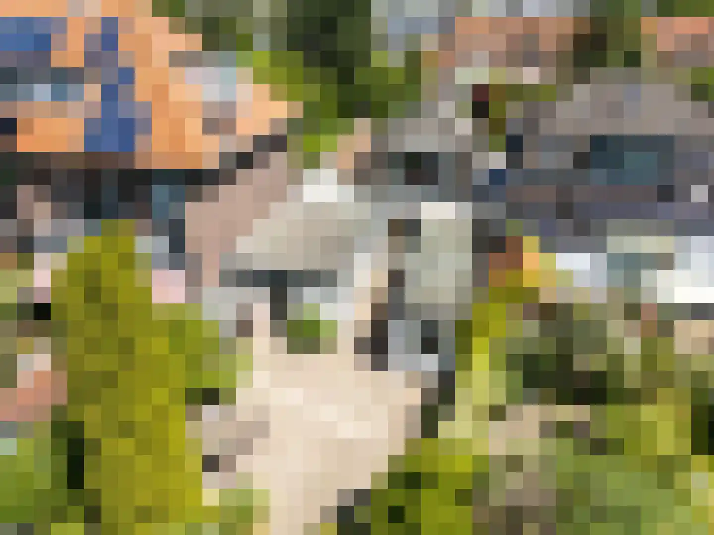 Rijn en Schiekade 117 Leiden thumbnail 32