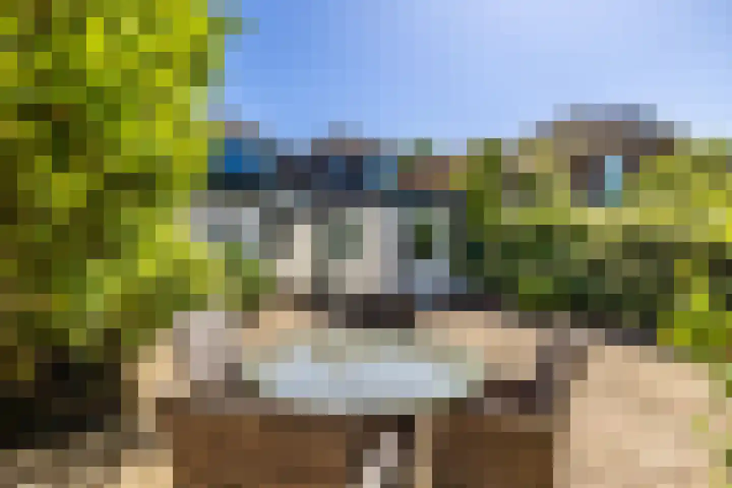 Rijn en Schiekade 117 Leiden thumbnail 34