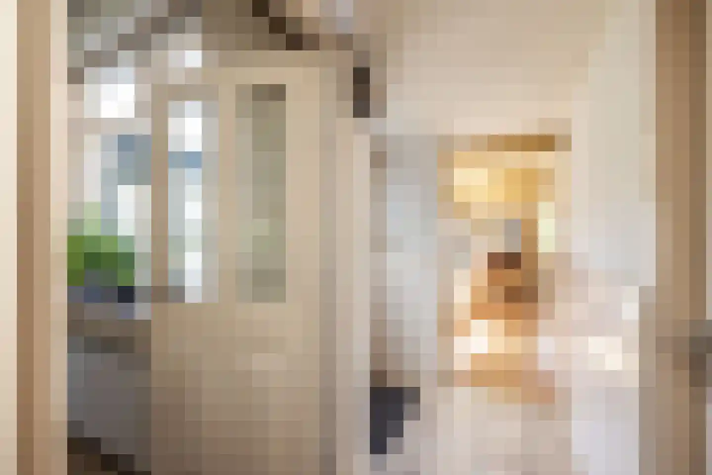 Rijn en Schiekade 117 Leiden thumbnail 36