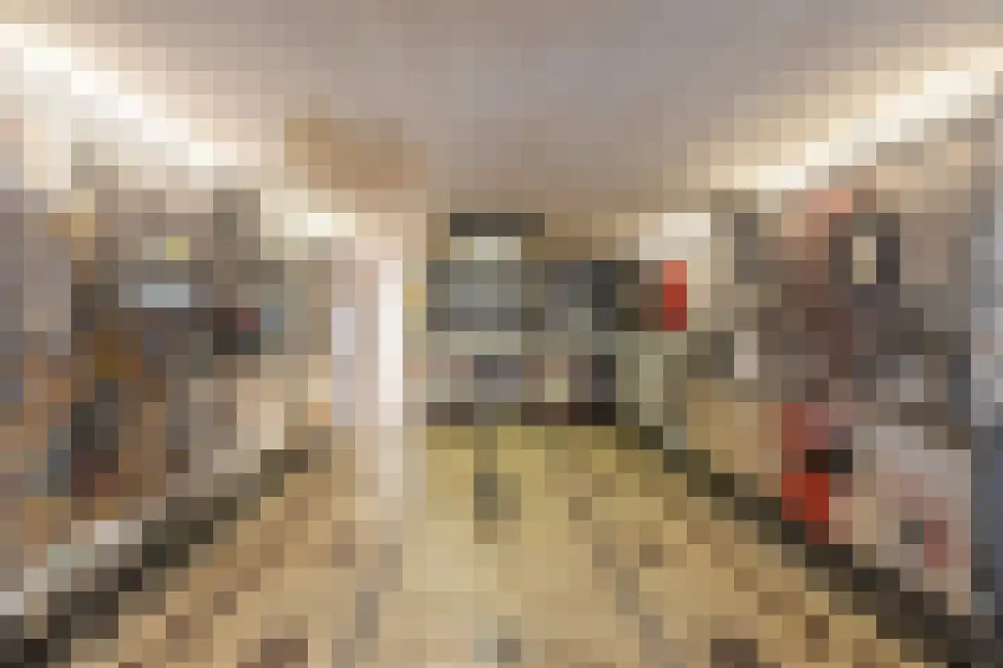Rijn en Schiekade 117 Leiden thumbnail 42