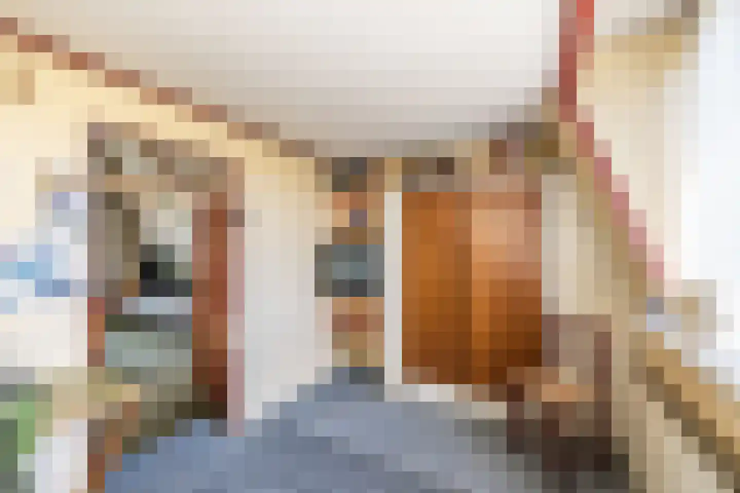 Rijn en Schiekade 117 Leiden thumbnail 49