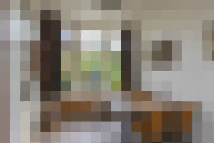 Rijn en Schiekade 135 Leiden thumbnail 14