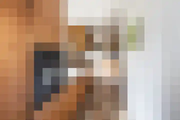 Rijn en Schiekade 135 Leiden thumbnail 20