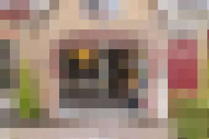 Rijn en Schiekade 135 Leiden thumbnail 32