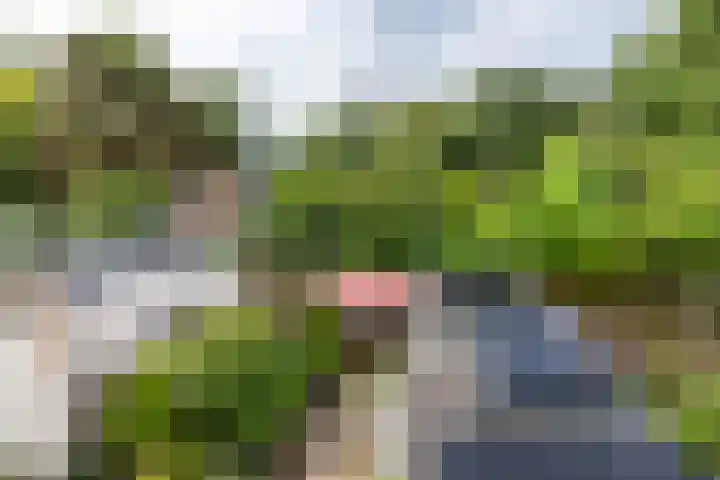 Rijn en Schiekade 135 Leiden thumbnail 42