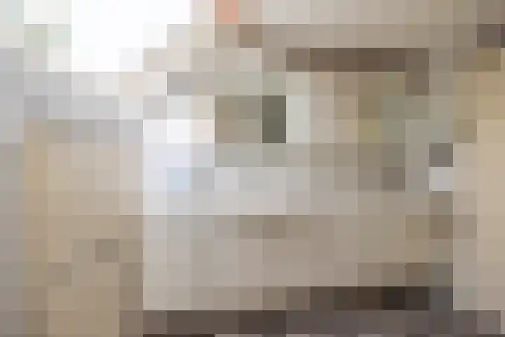 Rijn en Schiekade 135 Leiden thumbnail 45