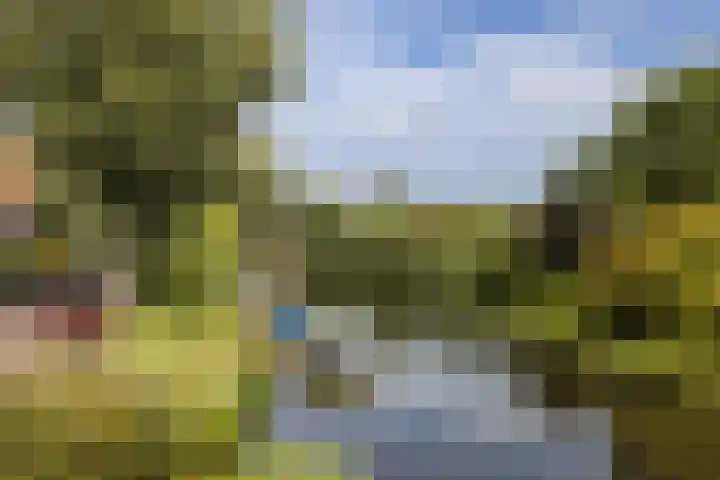 Rijn en Schiekade 135 Leiden thumbnail 58