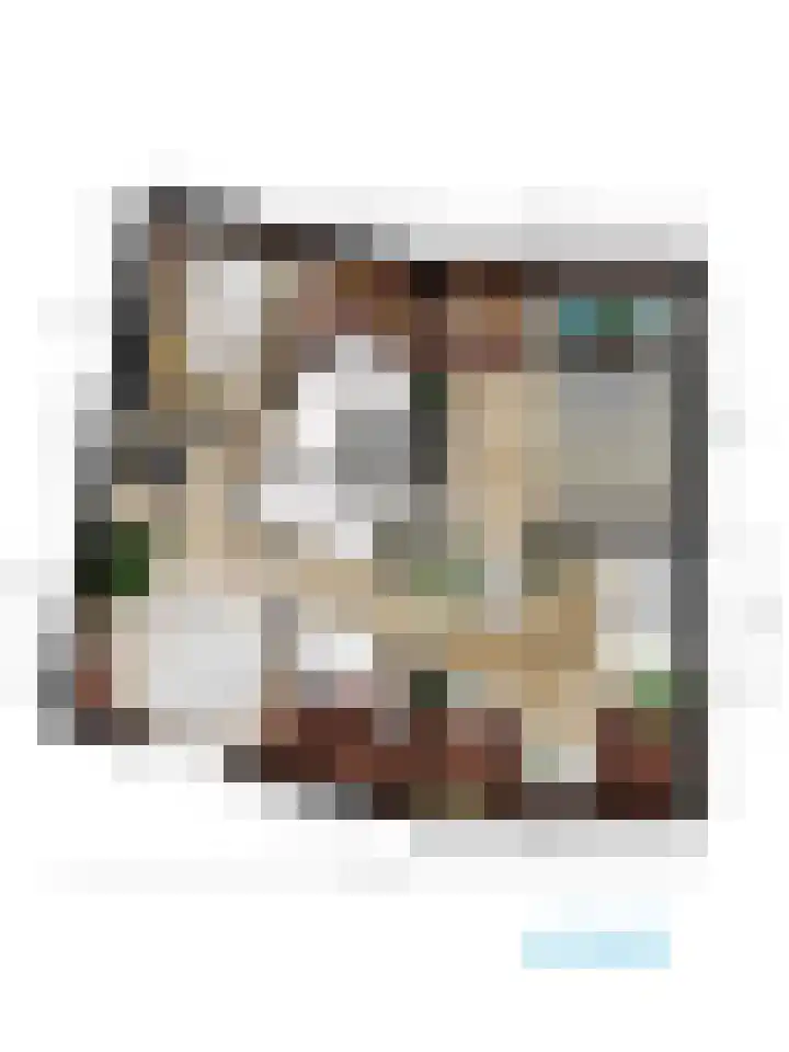 Rijn en Schiekade 135 Leiden thumbnail 61