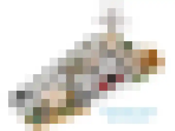 Rijn en Schiekade 135 Leiden thumbnail 67
