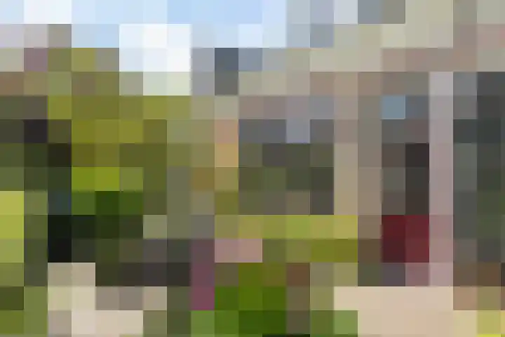 Rijn en Schiekade 135 Leiden thumbnail 7