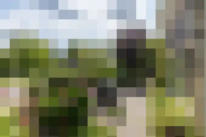 Rijn en Schiekade 135 Leiden thumbnail 8