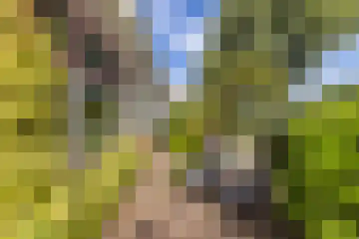 Rijn en Schiekade 135 Leiden thumbnail 9