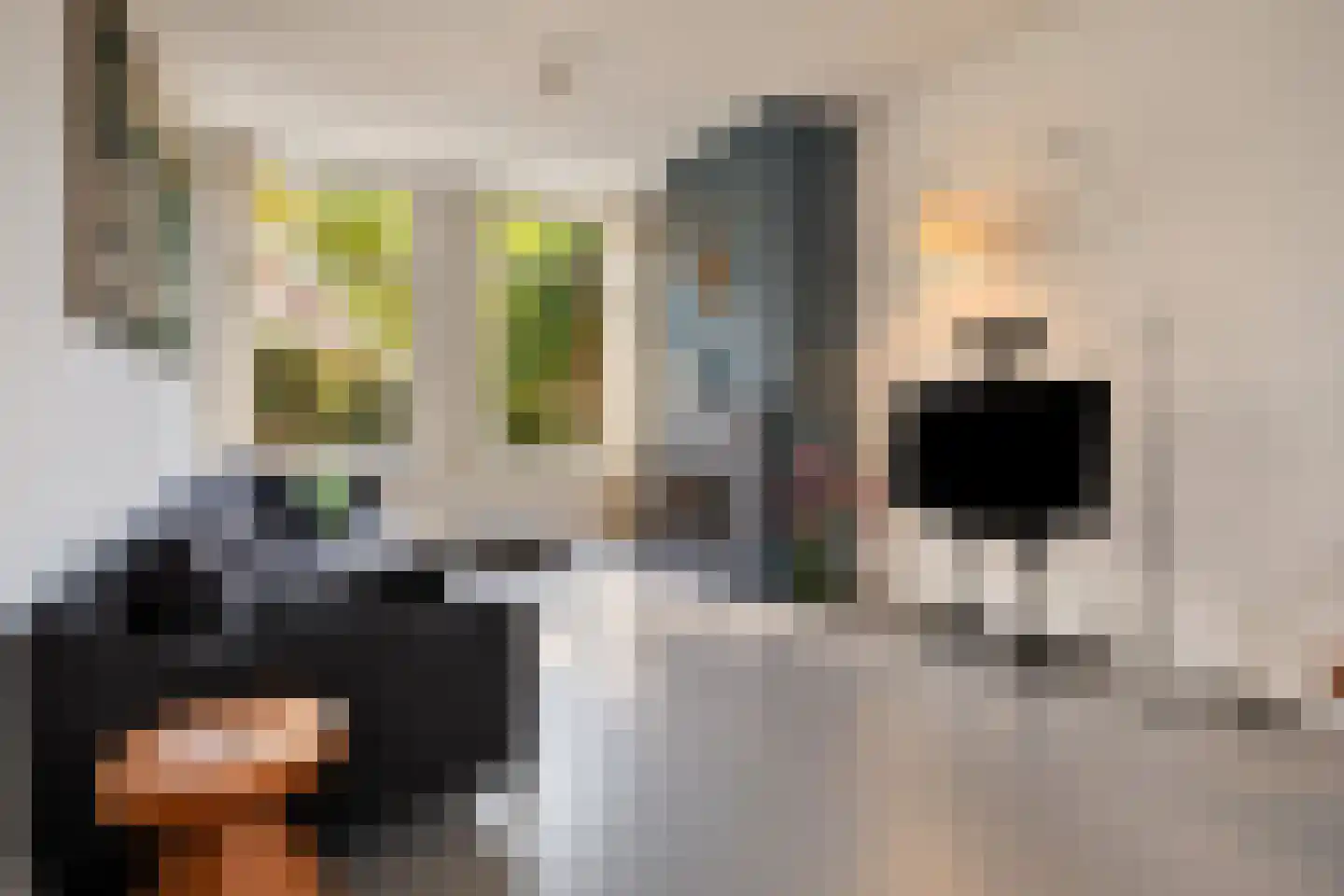 Rijn en Schiekade 47 Leiden thumbnail 10