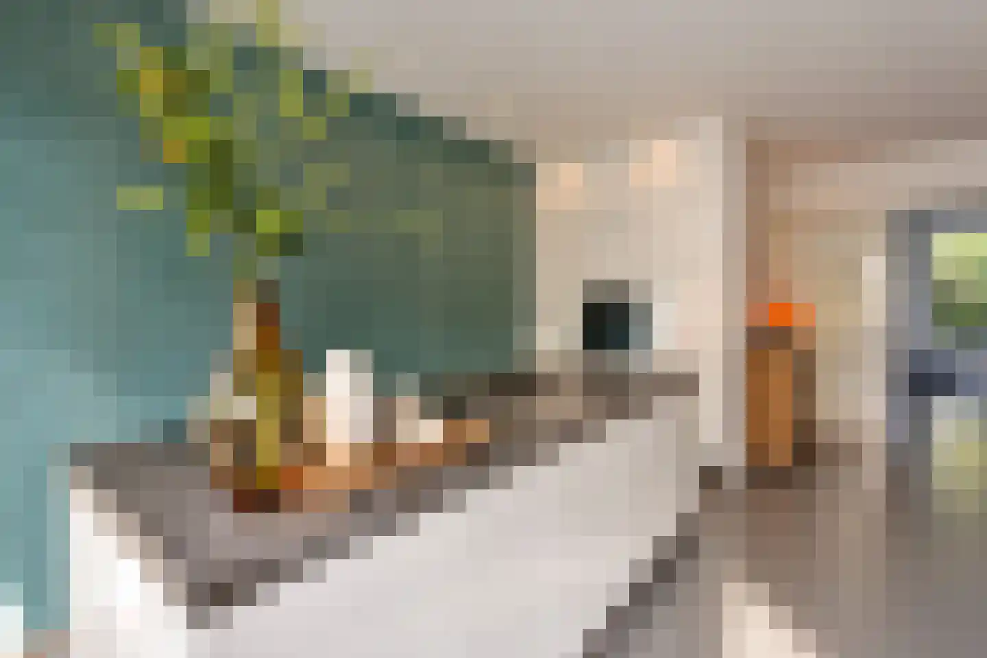 Rijn en Schiekade 47 Leiden thumbnail 21