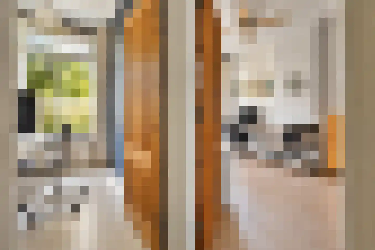 Rijn en Schiekade 47 Leiden thumbnail 34