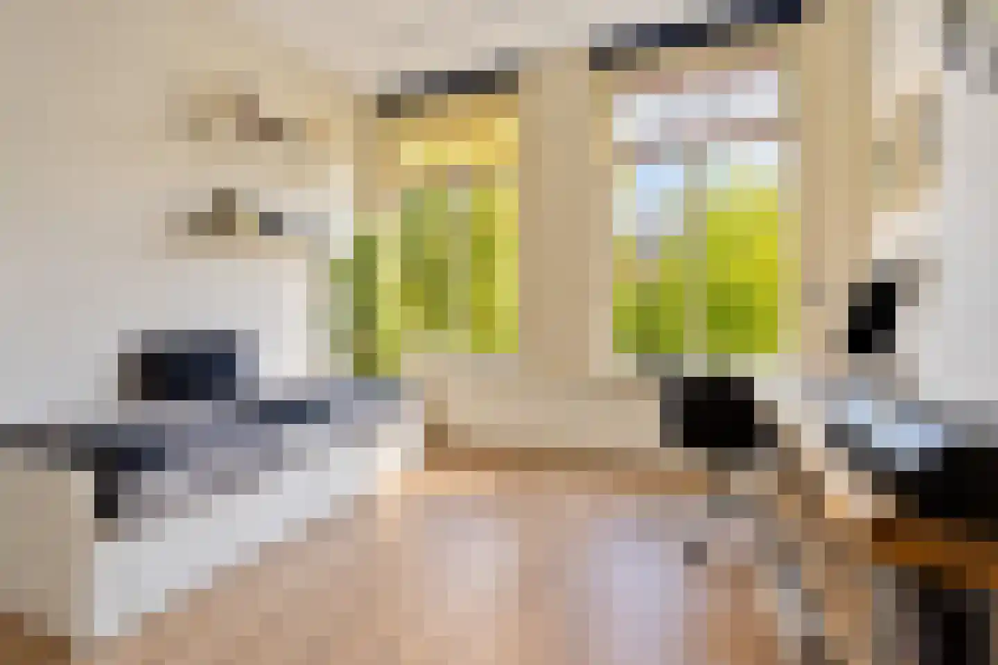 Rijn en Schiekade 47 Leiden thumbnail 35